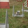 foire-haricots 2011-09-17et18